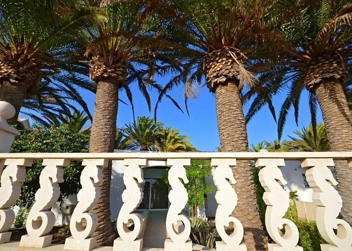 Presidente 2 - Pool - Glasfaserinternet - Apartmán Costa Calma